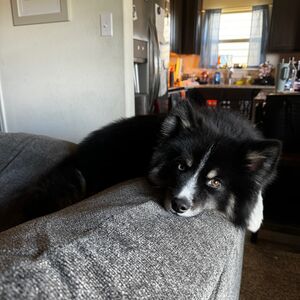 Gallery Photo 6