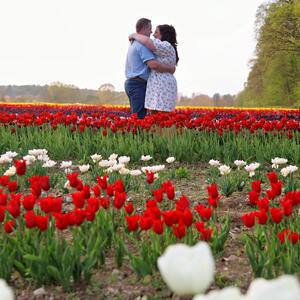 Gallery Photo 20