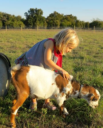 Dalton Family Farm and Petting Zoo - Petting Zoo Austin, TX - The Bash