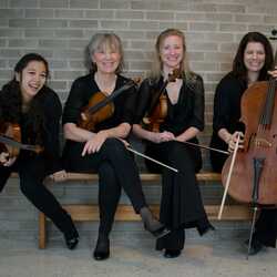 Acadia String Quartet, profile image