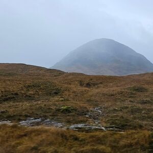 Gallery Photo 195