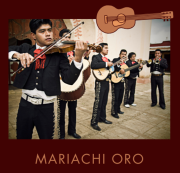 Mariachi Oro - Mariachi Band - Houston, TX - Hero Main