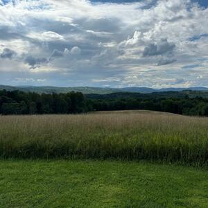 Gallery Photo 8