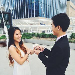Gallery Photo 7