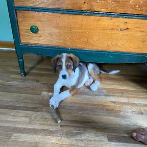 Gallery Photo 38