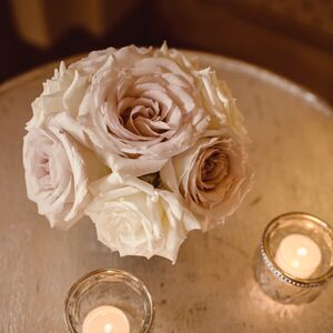 Gallery Photo 338