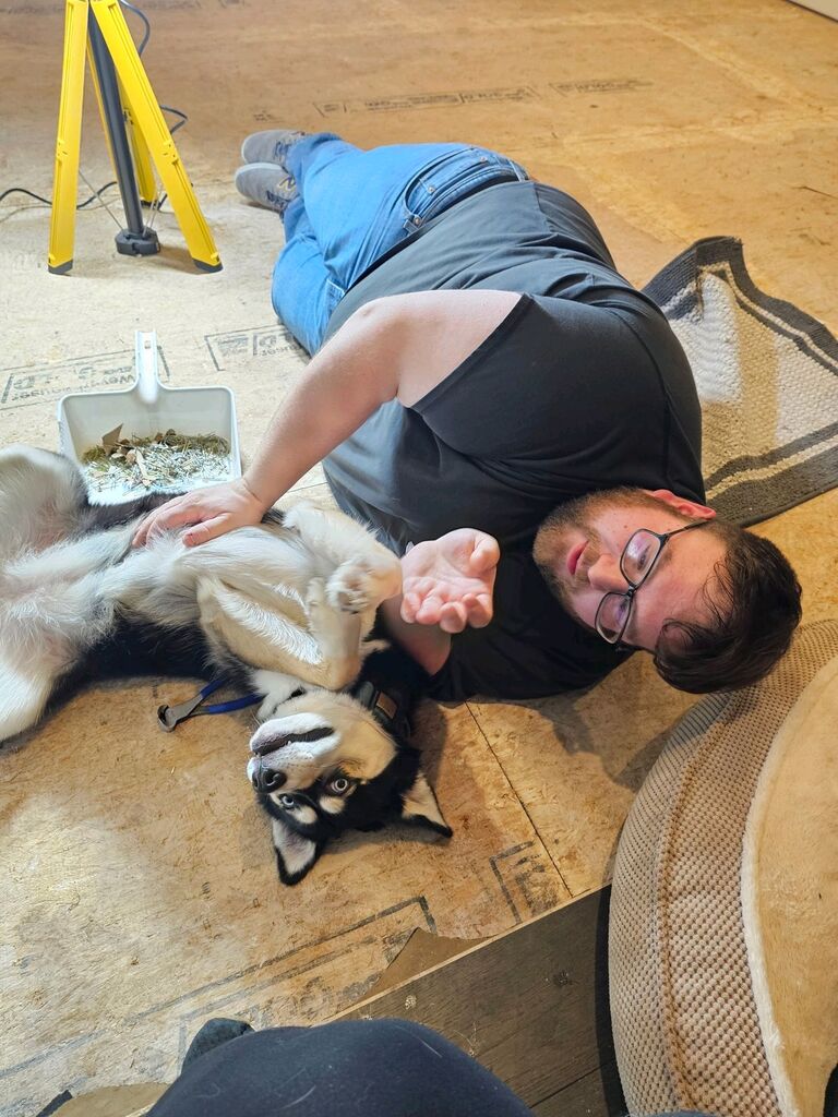 Nova, their ever-enthusiastic husky, became Josh's trusty (and often playful) assistant as he tackled the ambitious project of laying new floors throughout the house. Despite Josh’s demanding work and school schedule, the project spanned over a year, with Nova ensuring every plank was inspected, every tool supervised, and every break filled with wagging tails and encouragement.