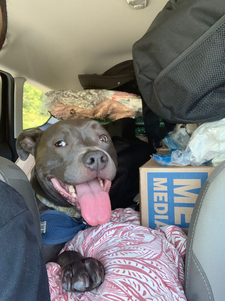 We packed up the car with everything we owned and started our journey across the country. Destination: Los Angeles, California.