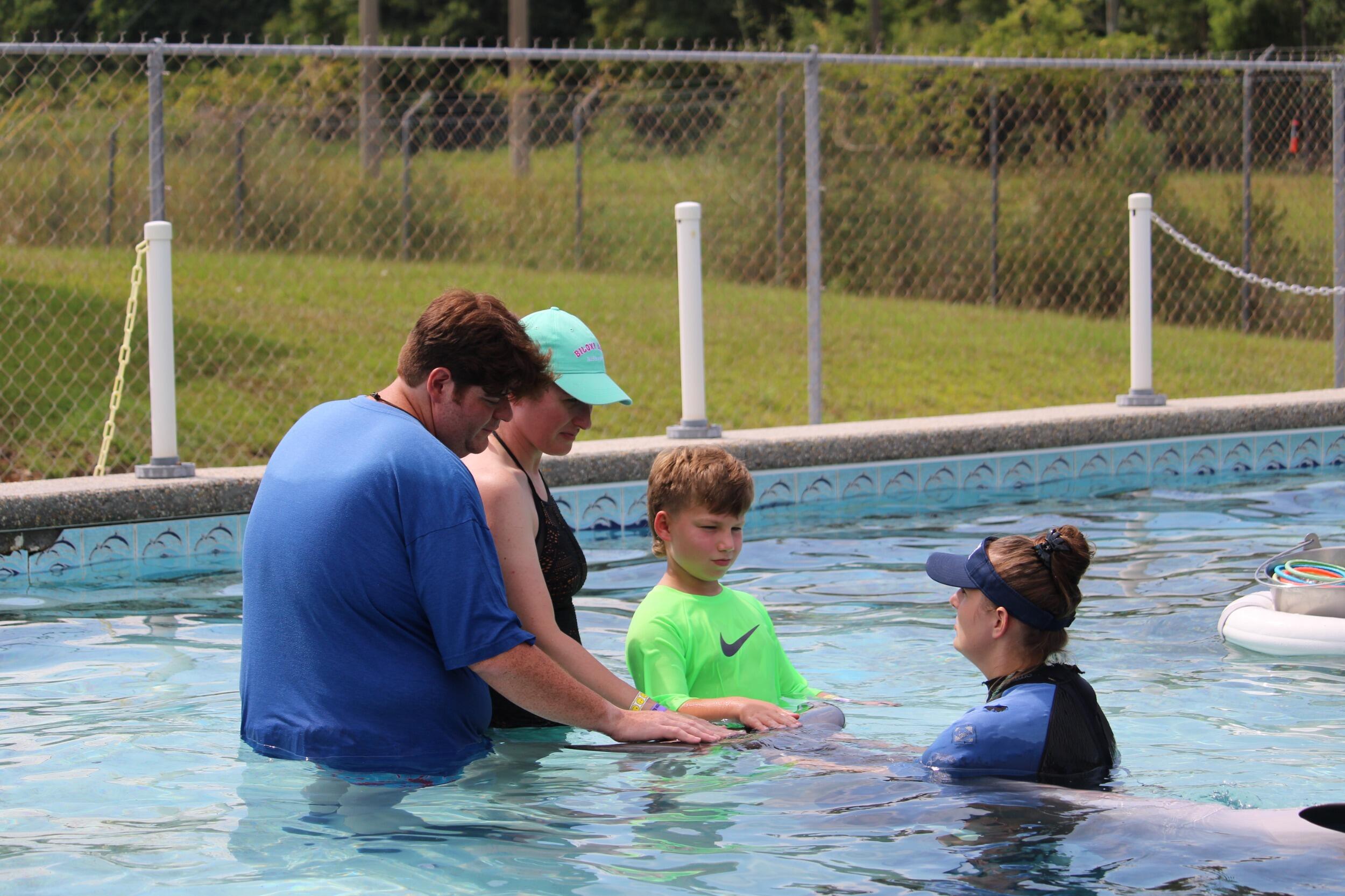 Dolphin Swim