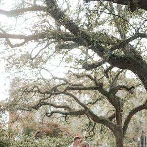 Gallery Photo 31