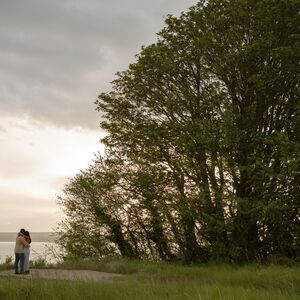 Gallery Photo 5