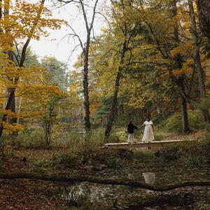Gallery Photo 25