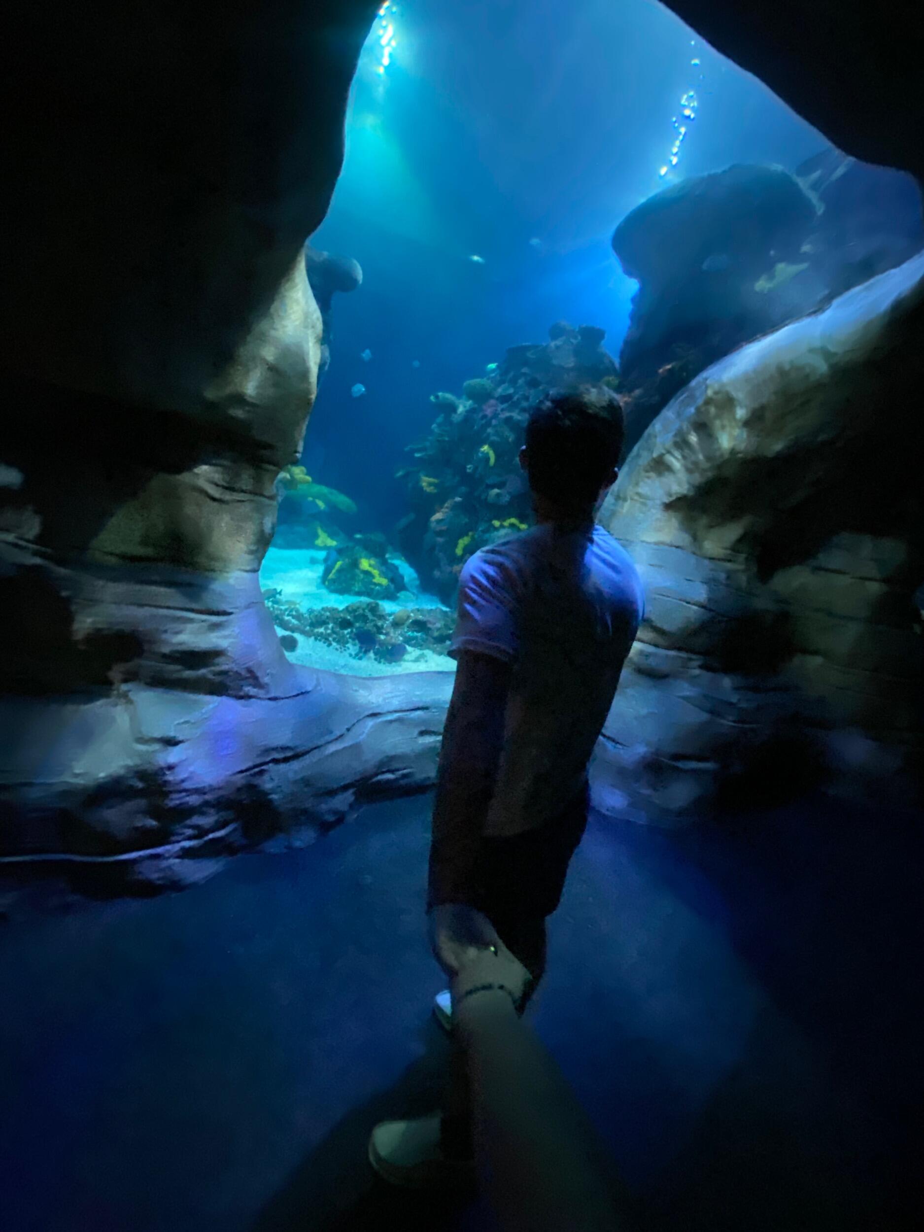 Drove to the aquarium 
