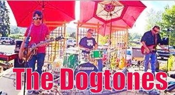 The Dogtones - Cover Band - Edmonds, WA - Hero Main