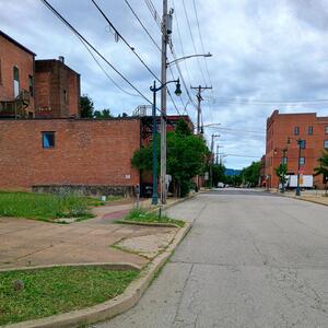 Gallery Photo 6