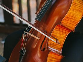 Mercury String Quartet - String Quartet - Los Angeles, CA - Hero Gallery 3