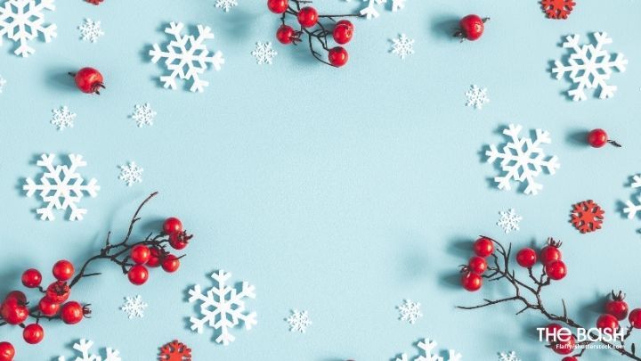 62 Holiday Zoom Backgrounds Free Download The Bash