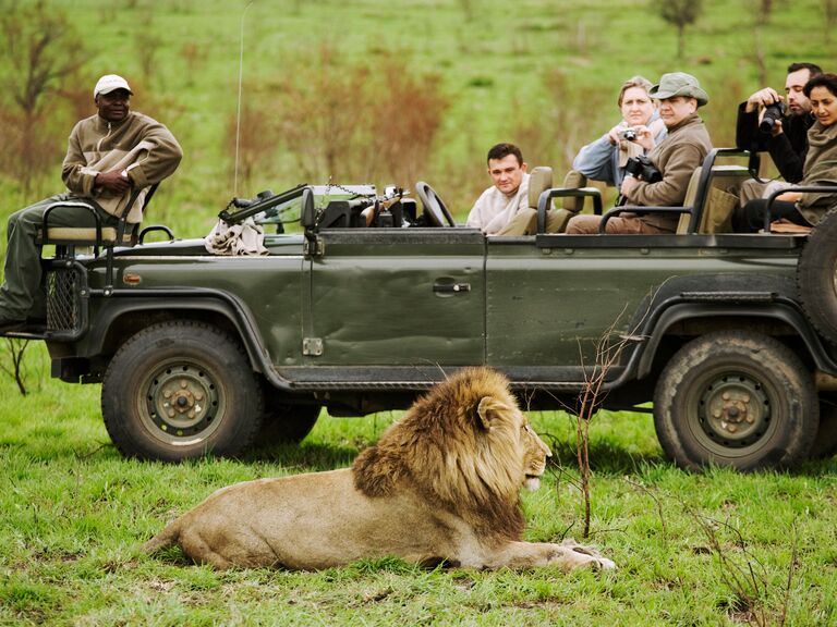 A safari near Kruger National Park, South Africa