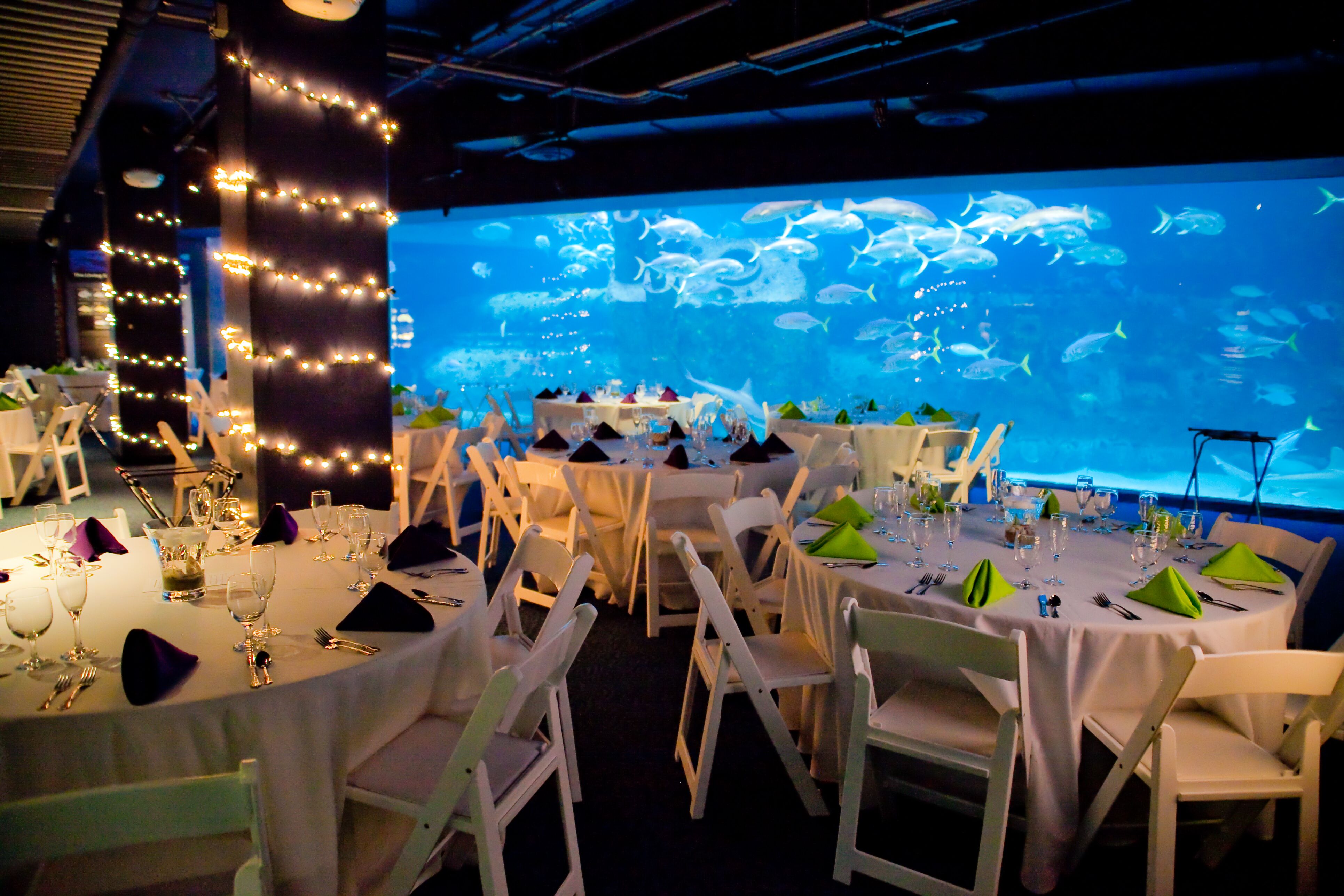 North Carolina Aquarium at Pine Knoll Shores Reception Venues The Knot