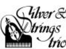 Silver & Strings Trio - Chamber Music Trio - Canton, OH - Hero Gallery 1