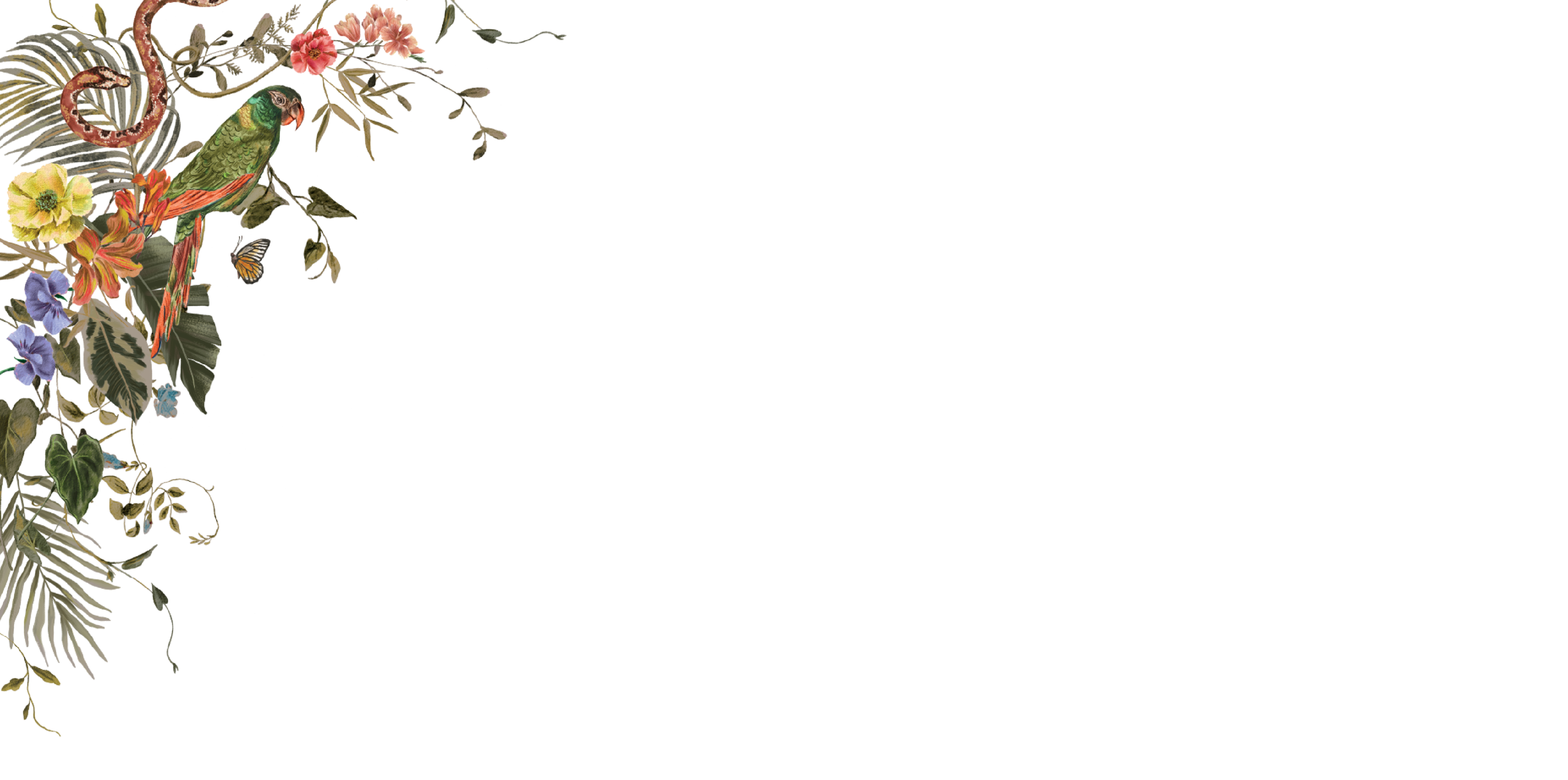 Top Theme Image