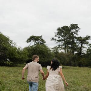 Gallery Photo 14