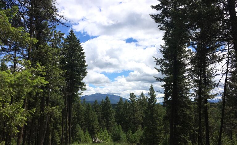 Along with cousins and friends, they rented a van and drove 8 hours  to Montana for one week in paradise. There, YurtFest™ was born.