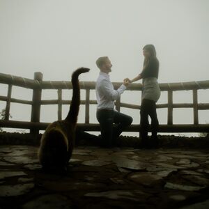 Gallery Photo 19