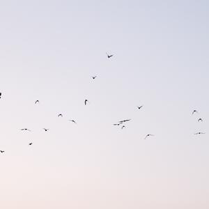 Gallery Photo 15