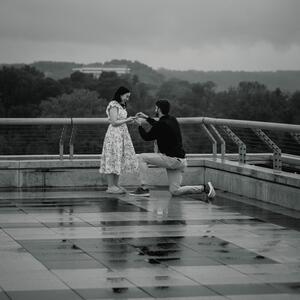 Gallery Photo 5