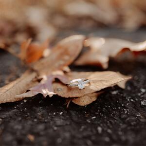 Gallery Photo 22