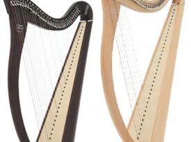 Harpist Elizabeth Alpert - Harpist - Tulsa, OK - Hero Gallery 2