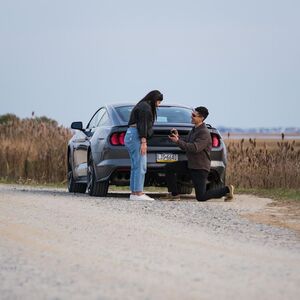 Gallery Photo 4