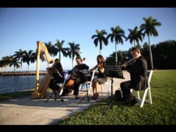 Elegant Musicians, LLC. - String Quartet - Miami, FL - Hero Main