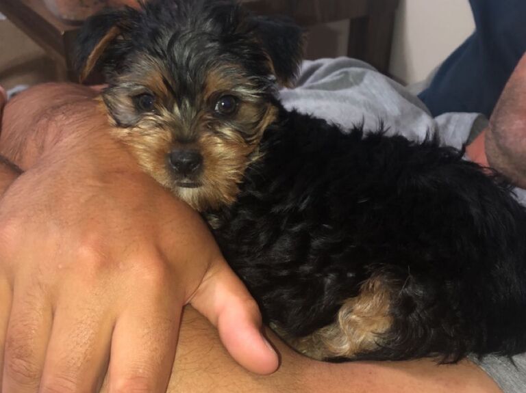 Our family grew by one more!