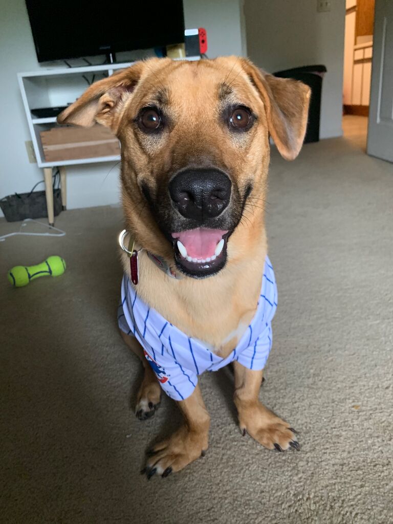 Hazel got her first Cubs Jersey, a big moment in this family. About 2 years 6 months. 