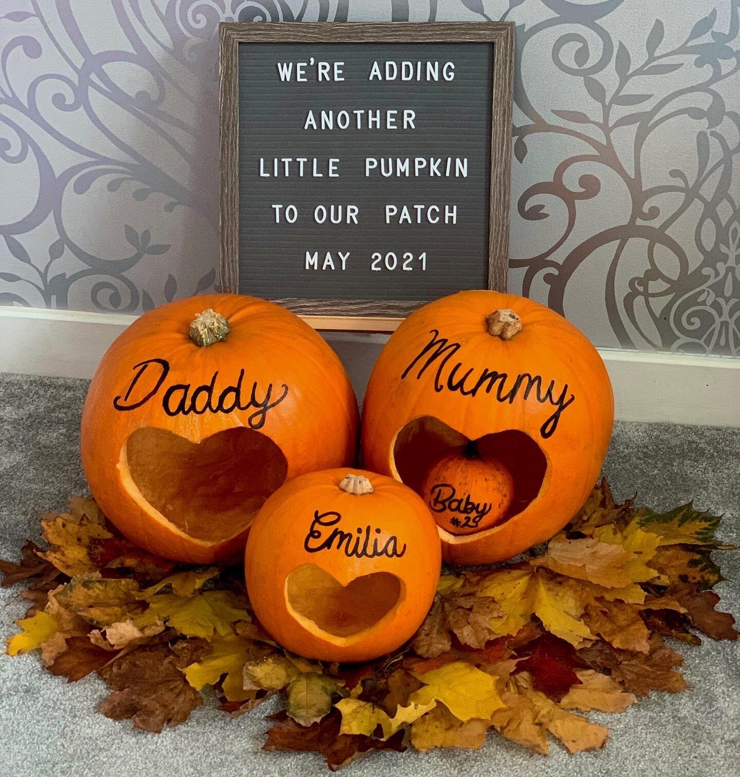After celebrating Emilia's first birthday a little too hard, the family was expanding. 