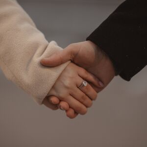 Gallery Photo 17