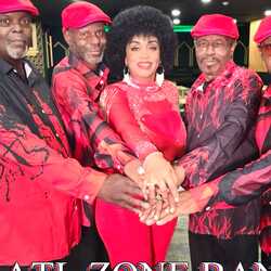 THE ZONE BAND, profile image