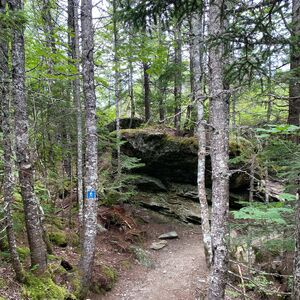 Gallery Photo 45