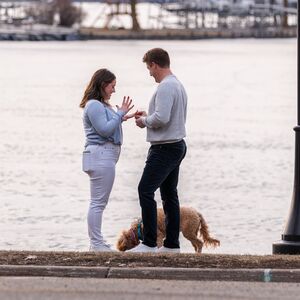 Gallery Photo 33