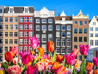 Tulips and colorful houses in Amsterdam