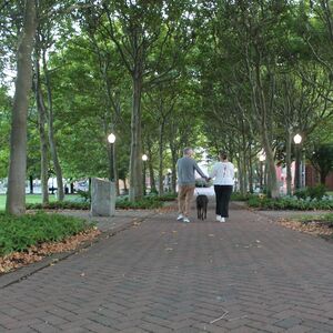 Gallery Photo 1