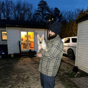 Gallery Photo 19
