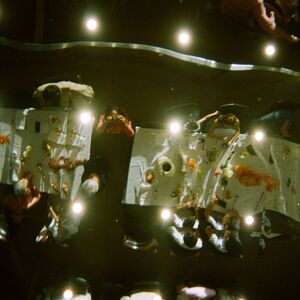 Gallery Photo 16