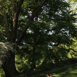 Gallery Photo 19