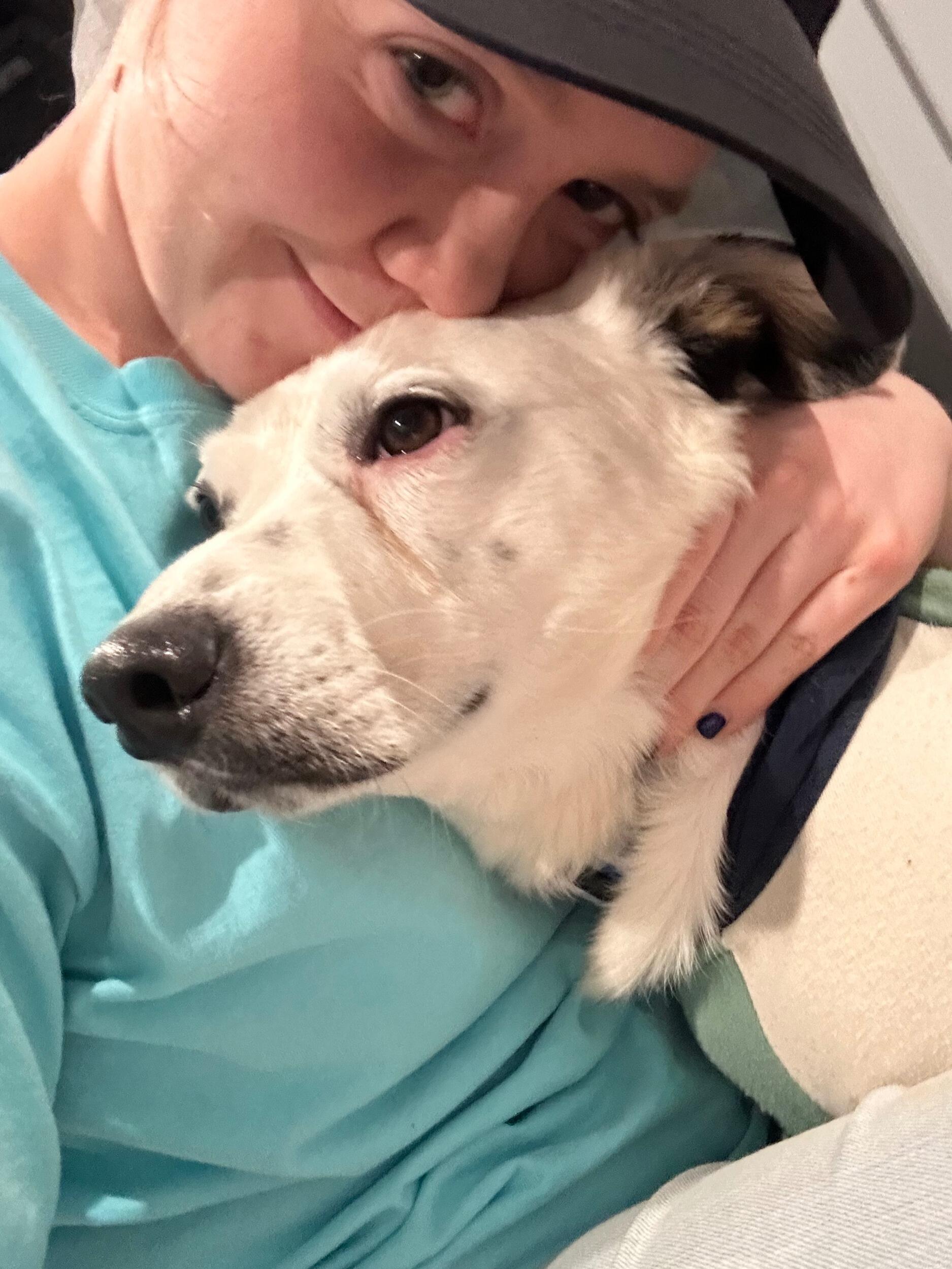 Spartan
Adopted January 10, 2022
May 25, 2021-February 15, 2024
I include him as he would've been apart of our family and to keep the memory of him alive. Unfortunately his life was taken by being ran over and there was nothing I could do for him. 
Spartan wasn't as trusting of people as much as Captain is. He loved people but he chose people to bond with very closely. He loved hiding under the bed and cuddling with me. I was his person and loved to be loved by me. He didn't like to play too much and wouldn't touch his toys unless Captain did. His only bad quality was causing fights with Captain and growling at Captain if I was cuddling Spartan and Captain would get close. He loved me so much that he had to have me all to himself. He loved to sit in my lap and in the mornings when it was time to go outside I'd be in bed and he'd stand on top of me lol. He made it very hard to get up. Despite all his faults and shortcomings he was still a wonderful dog and deserved many more years but God has blessed me with so much more  with tons and tons of animal love.  Thank you God.