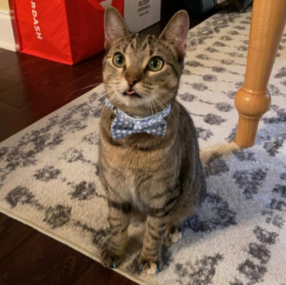 Lani joined the family