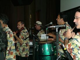  MAMBO BLUE LATIN BAND NEW YORK - Salsa Band - New York City, NY - Hero Gallery 1