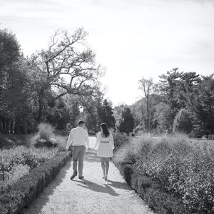 Gallery Photo 43